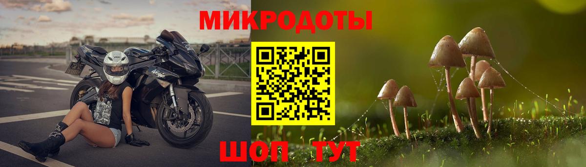 Жуковский  Псилоцибиновые грибы Cubensis  Псилоцибиновые грибы Psilocybe  Вход с VPN 
